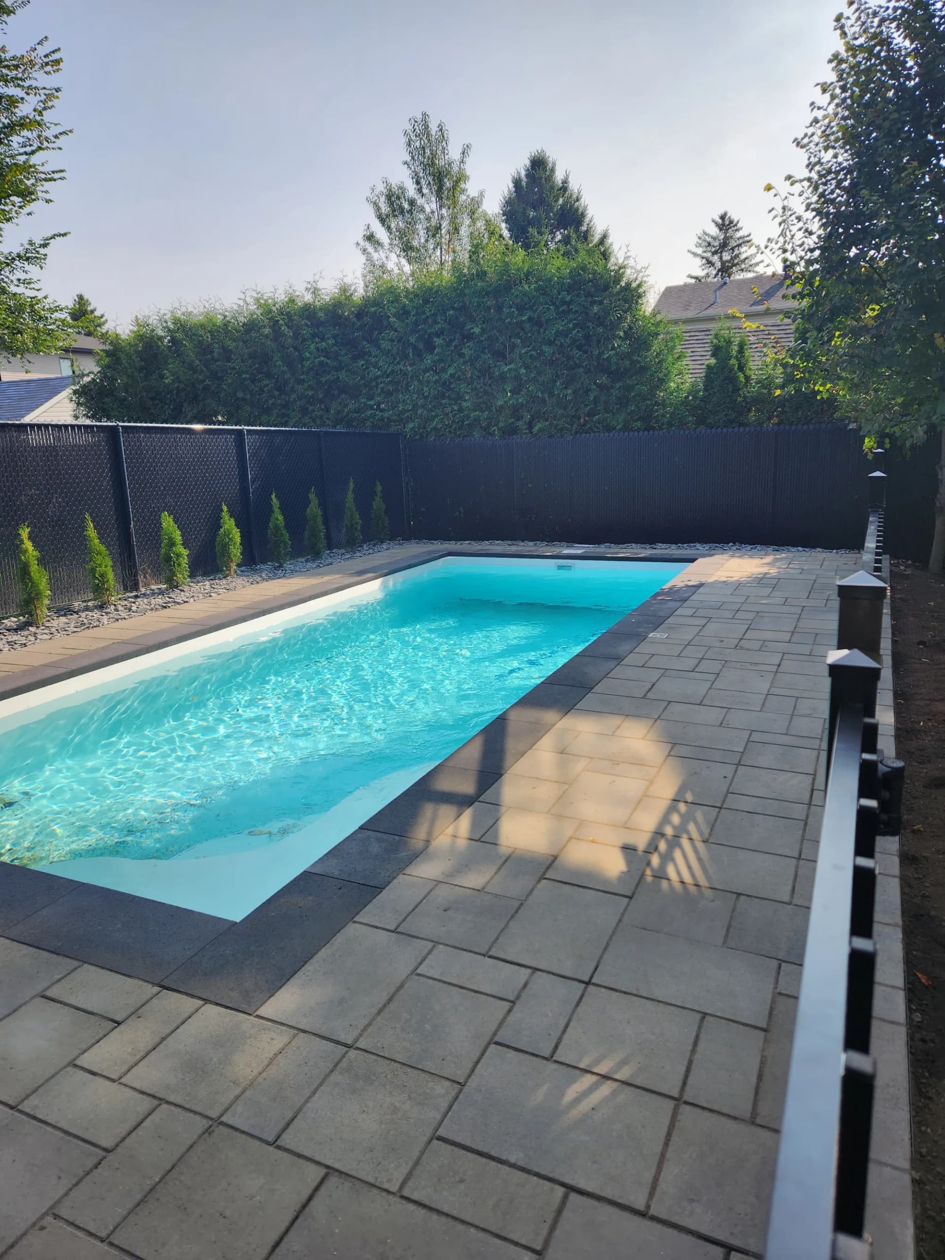 Contour de piscine en pavé et plantations de thuyas le long de la clôture