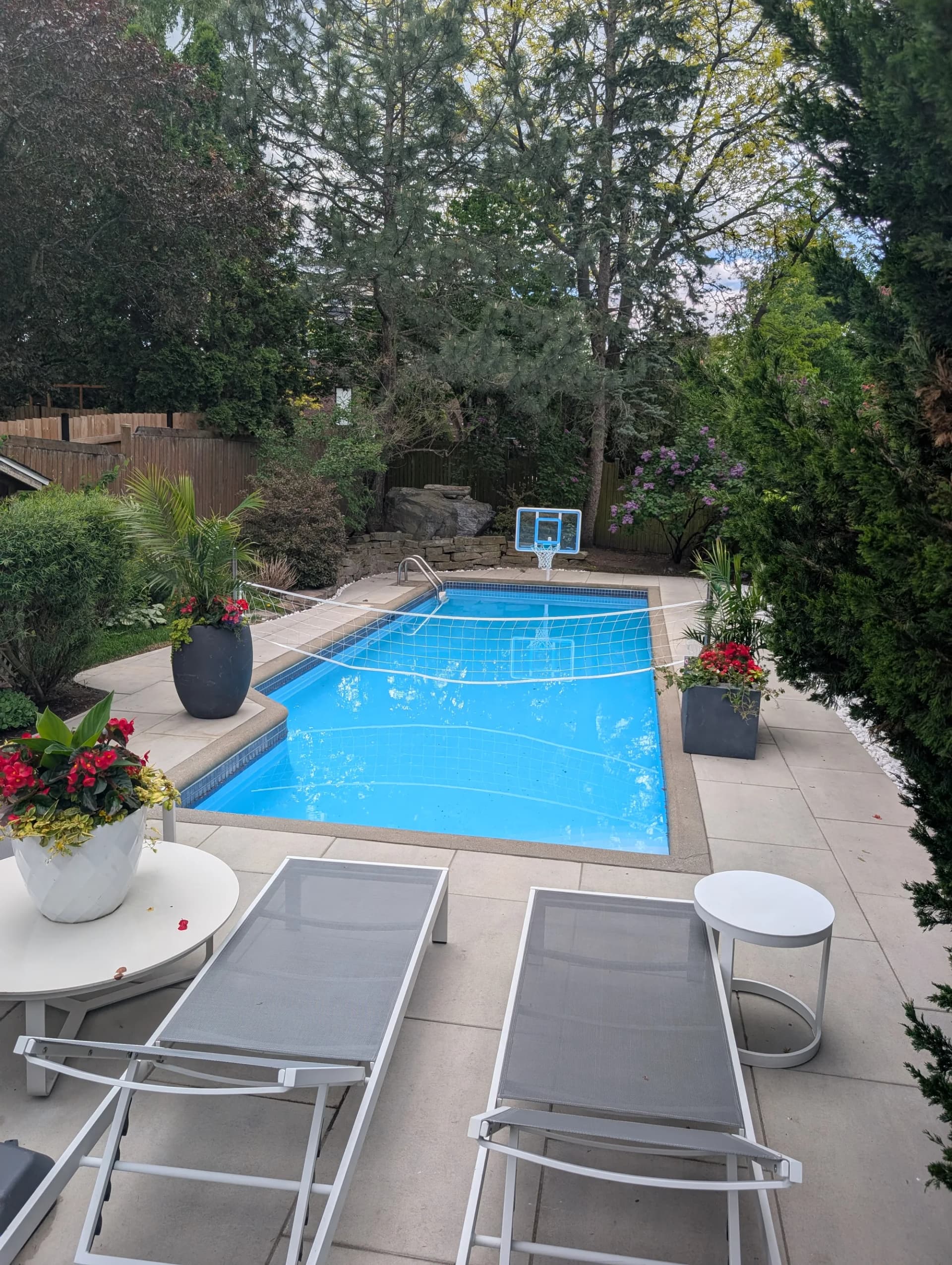 Piscine creusée avec contour en dalles de béton, chaises longues et plantations luxuriantes