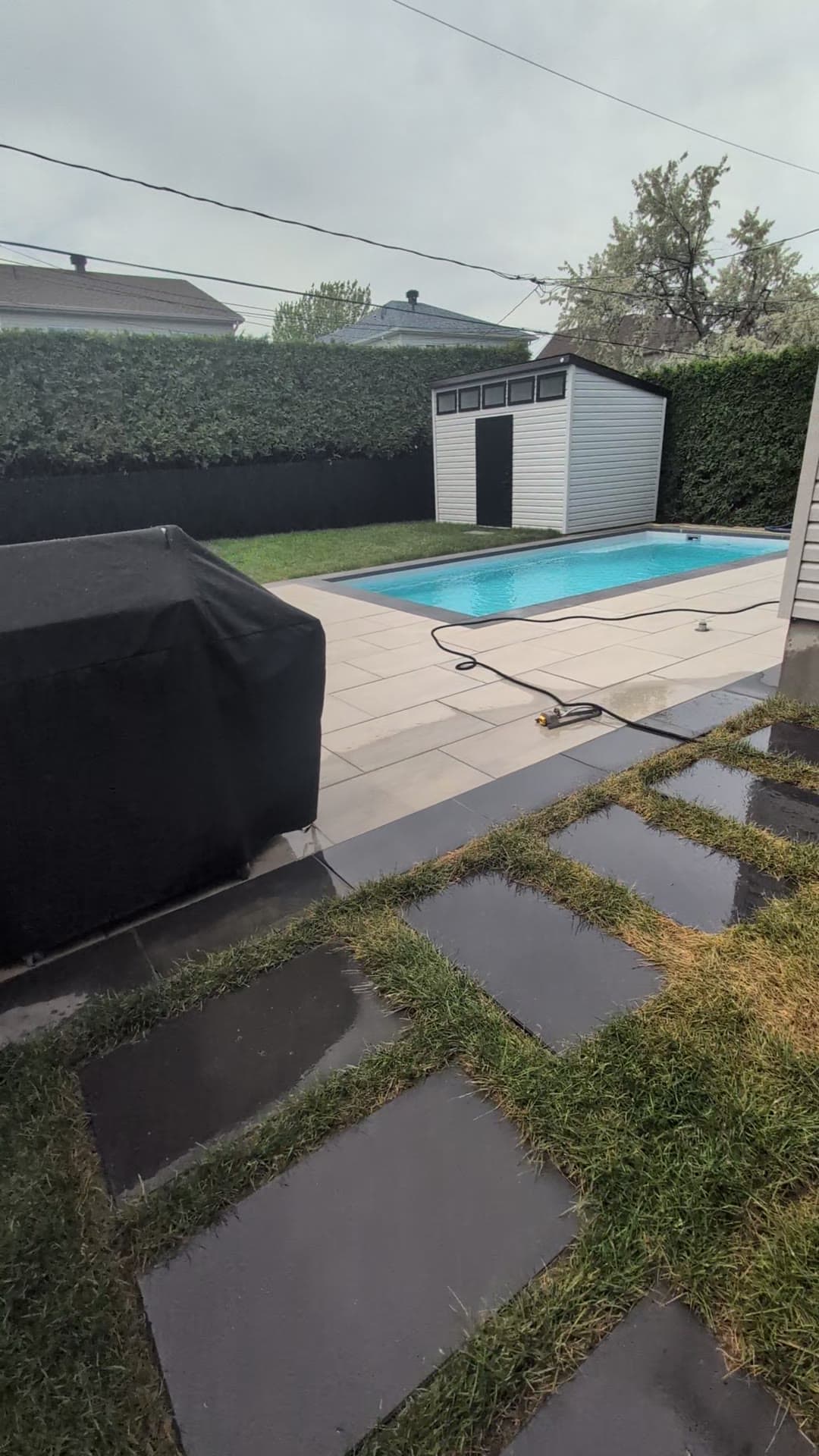 Piscine creusée avec contour en dalles grand format et haie de cèdres